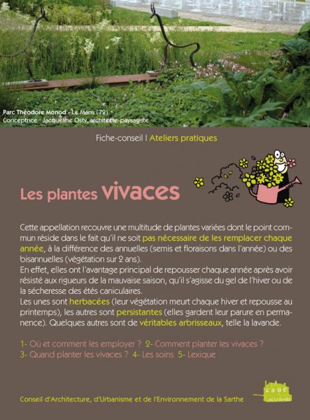 Les plantes vivaces