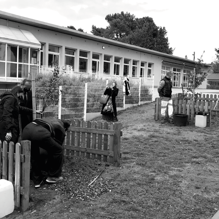 Le CAUE de la Sarthe s'associe à la commune de Jupilles pour venir planter des jeunes arbres sur le site du futur Arboretum de la commune, pour vous permettre de découvrir comment fonctione la pousse d'un arbre.