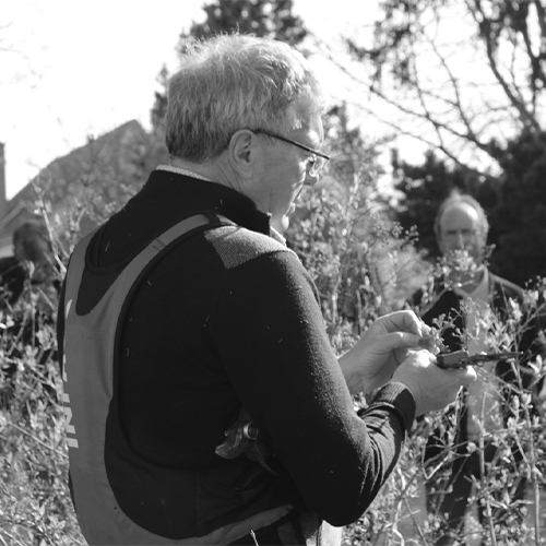 Une journée pour déconstruire un certain nombre d’idées reçues tout en simplifiant le travail du jardinier !