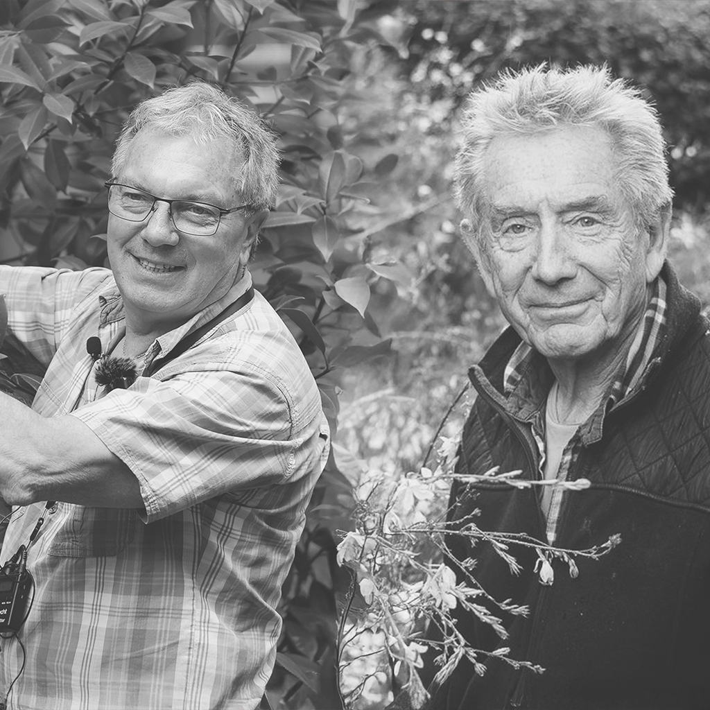 TOUT PUBLIC - Une rencontre ouverte à tout·es pour (re)découvrir les arbustes, compagnons discrets mais essentiels de nos jardins et paysages.