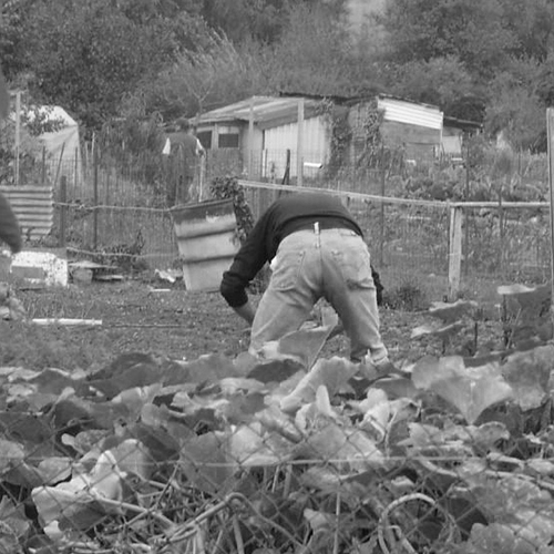 TOUT PUBLIC - Une journée pour observer, faire des rencontres inspirantes, découvrir des pratiques, questionner le rôle des paysages urbains dans notre alimentation.